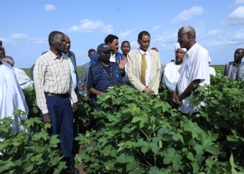 وزير الري: معالجات عاجلة لآثار الفيضانات والسيول بمشروع الرهد الزراعي