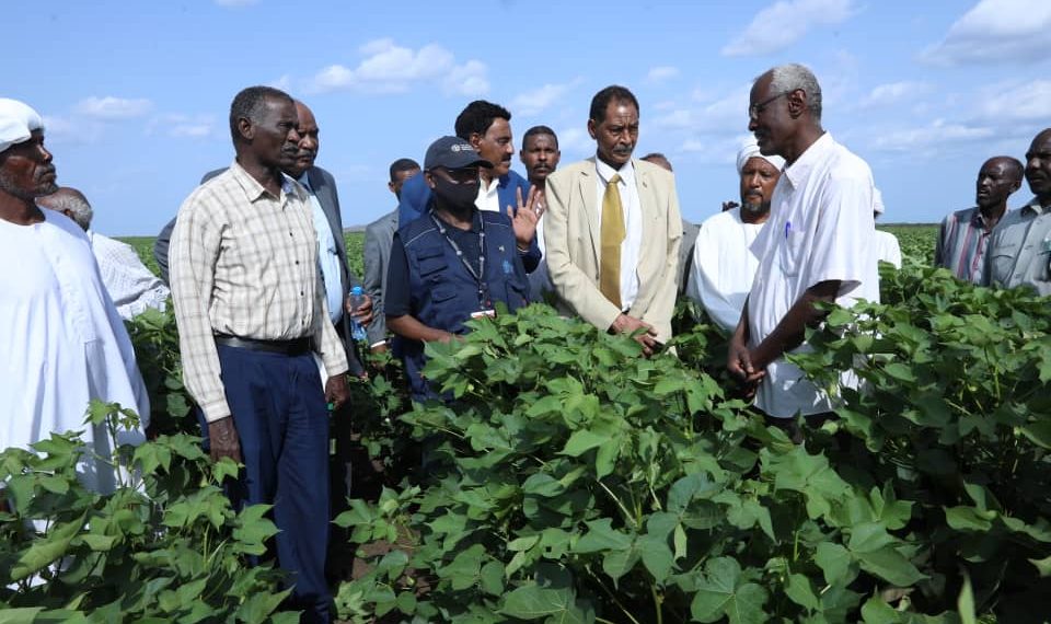 وزير الري: معالجات عاجلة لآثار الفيضانات والسيول بمشروع الرهد الزراعي