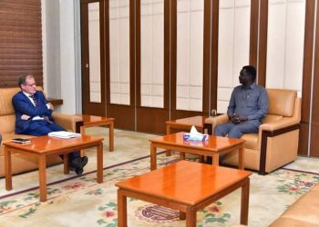 مناوي يلتقي بسفير ألمانيا