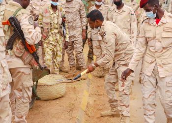 الدعم السريع بجنوب دارفور ينفذ حملة كبرى لإصحاح البيئة