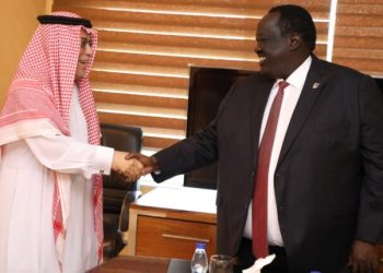 سفير خادم الحرمين الشريفين يلتقي المستشار الأمني لسلفاكير