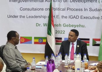 وفد الايقاد يبتدر لقاءاته بقوى نداء البرنامج الوطني بقيادة د/ التجاني سيسي