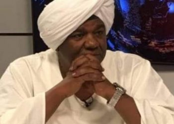 برطم يطالب بفرض رسوم بالعملة الصعبة علي الأجانب