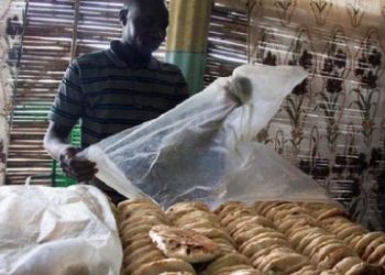 توقف عدد من المخابز  وتوقعات بزيادة في أسعار الخبز