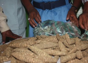 ضبط كميات كبيرة من المخدرات بعطبره وابوحمد