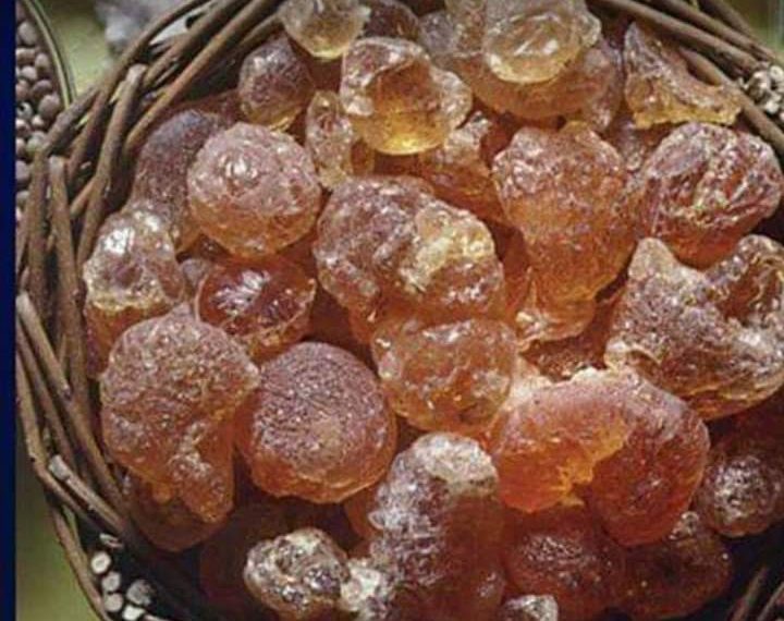 مجلس الصمغ العربي:السودان ينتج 80% من الإنتاج العالمي