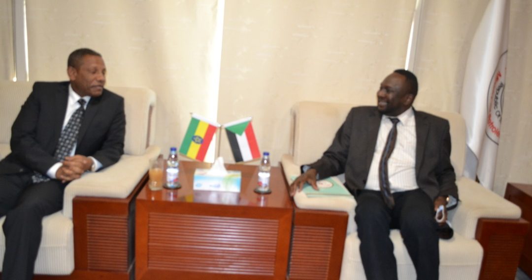 الحكومة تبحث مع أثيوبيا التعاون في مجال الطاقة والنفط