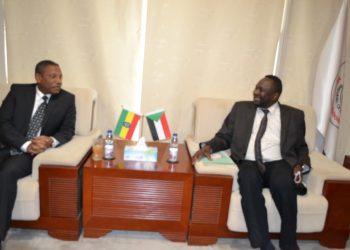 الحكومة تبحث مع أثيوبيا التعاون في مجال الطاقة والنفط