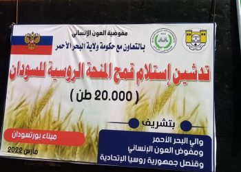 عقب زيارة ناجحة للنائب الأول لموسكو..وصول ٢٠ الف طن قمح منحة من روسيا