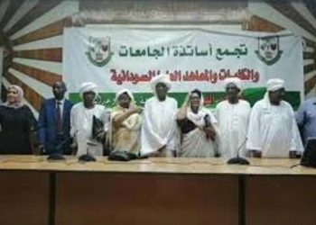 التعليم العالي: إصلاح الهيكل الراتبي للأُستاذ الجامعي أولوية قصوى