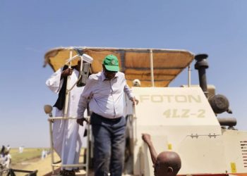 محافظ مشروع الجزيرة يدشن حصاد القمح بالقسم الشمالي