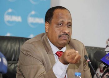 الناير: ما حدث بالدولار تحرير مطلق