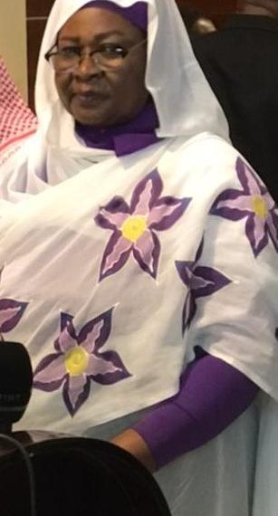 الاستثمار تلتزم بتذليل المعوقات بولاية النيل الأبيض