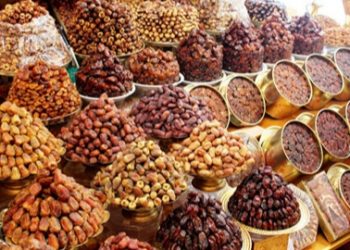 إطلاق منصة “ابداع” لنخيل التمر