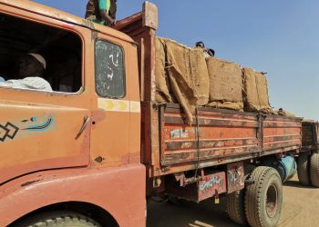 بدء عمليات ترحيل الخيش لمشروع الجزيرة