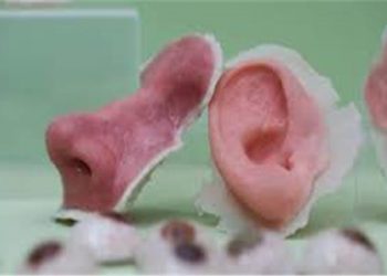 دارسة لتصنيع اذن وانف بتقنية ثلاثية الأبعاد