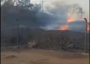 عااااجل..الوطن tv