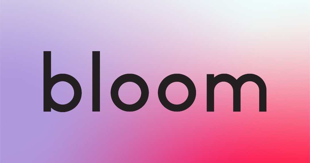 شركة (bloom)للخدمات المالية تطلق نشاطتها بتسجيل 80 الف مشترك داخليا وخارجيا