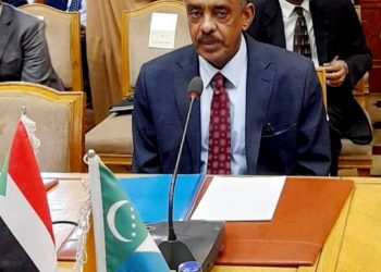 السودان يناقش الهجرة غير الشرعية خلال مشاركته بمؤتمر الساحل والصحراء