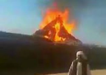 عاجل..الحكومة تبعث وفدا علميا لمعرفة أسباب حرائق منطقة قريقس