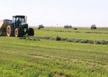 فشل الموسم الزراعي الشتوي يهدد المزارعين بدخول السجون