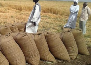 تتريس الولاية  الشمالية  لهذا السبب