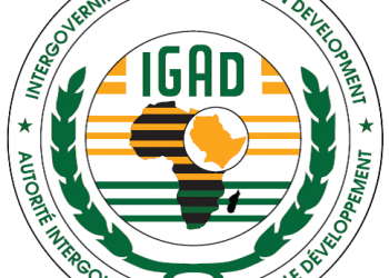 مباحثات لعقد قمة طارئة للإيقاد