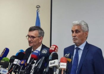 ودلبات:السودان في خطر كبير ولا بد من تراضي وطني