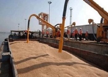 وصول 19967 طن قمح من روسيا