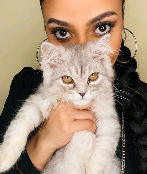 سعر خرافي لقطة “شهد المهندس”