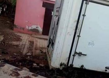 الفئران تلتهم بعض الجثث المكدسة بالخرطوم