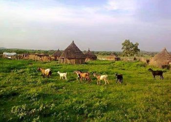 استقرار الأوضاع الأمنية في الشريط الحدودي بين غرب كردفان وجنوب السودان