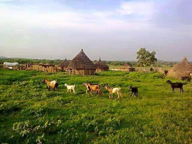 استقرار الأوضاع الأمنية في الشريط الحدودي بين غرب كردفان وجنوب السودان