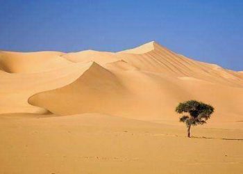 تحريك مروحيات عسكرية للبحث عن سودانيين مفقودين بمنطقة المثلث الحدودية