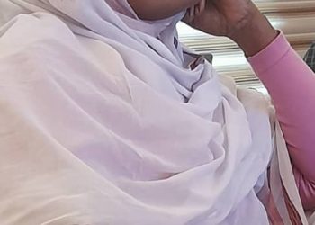 نعمات النعيم تكتب.. إستقرار السودان وجنوب السودان مطلوبات المرحلة