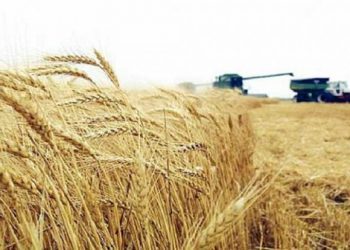 تحذير اممي : أمام العالم 10 أسابيع لإنقاذ طعامه