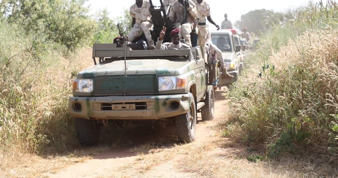 خبير يثمن اسهامات الدعم السريع في التأمين الزراعي والمراحيل