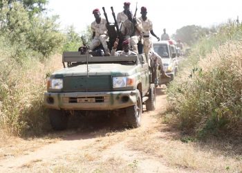 خبير يثمن اسهامات الدعم السريع في التأمين الزراعي والمراحيل