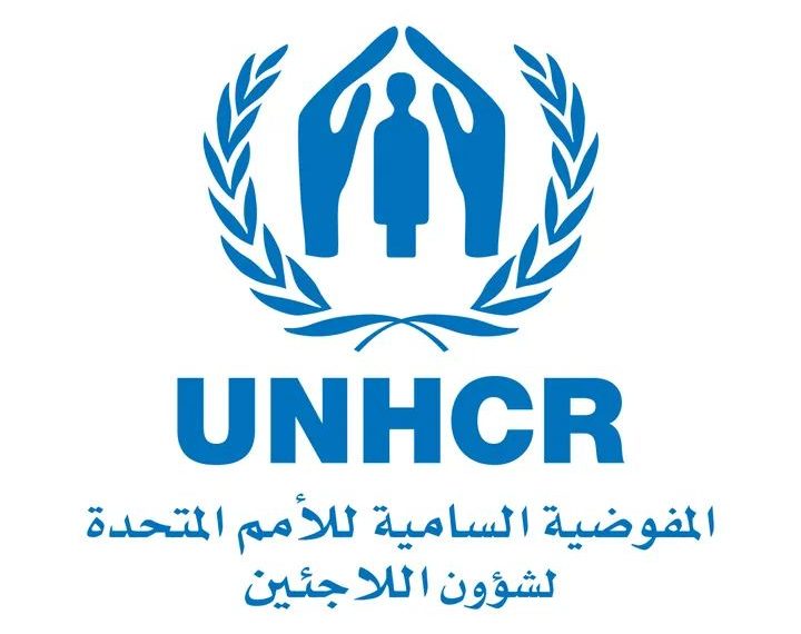 الداخلية تقرر رفع الحظر عن الارقام الوطنية للعائدين من الجنوب