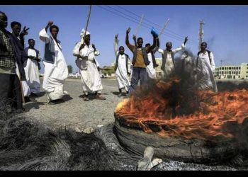 تصعيد جديد لمجلس البجا