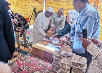 مبادرة ابناء الوطن بالمهجر تبدأ في شراء  فائض القمح من مزارعى  الجزيره