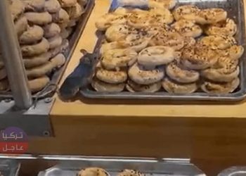 فار يتذوق المخبوزات داخل احدي أشهر المحلات التجارية
