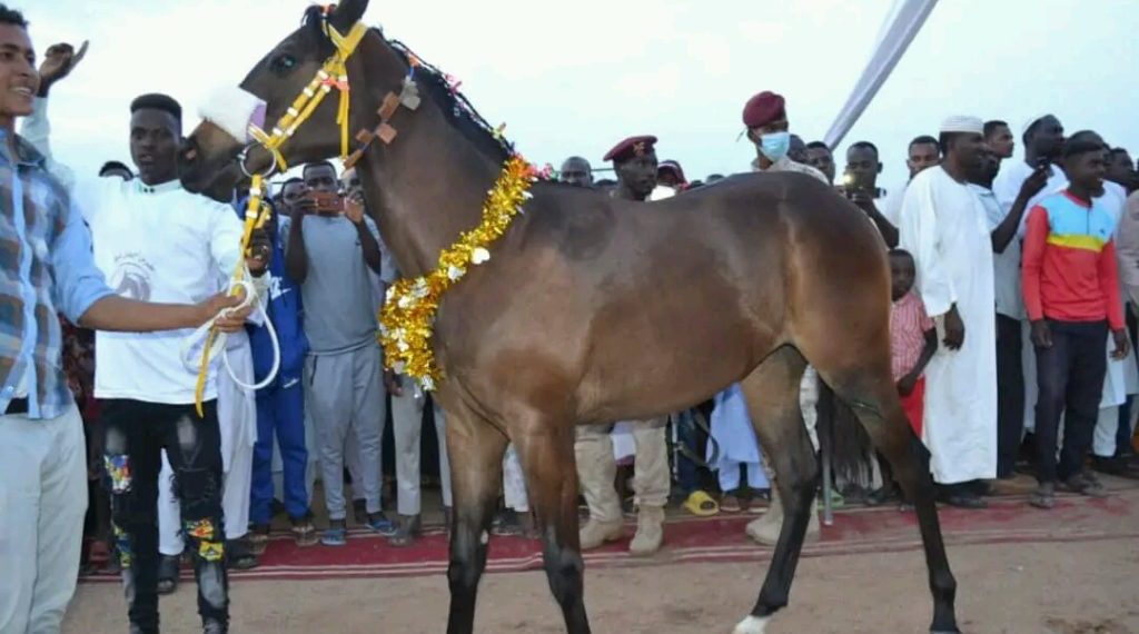 مهرجان أجمل مهر بجنوب دارفور