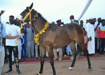 مهرجان أجمل مهر بجنوب دارفور