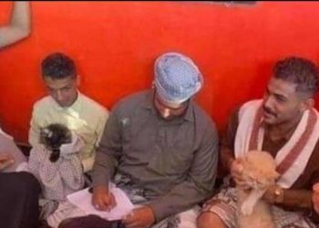 في أغرب زواج من نوعه  قط يتزوج قطه علي يد مأذون شرعي