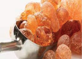 شعبة الصمغ العربي تطالب بتخصيص ٢٠% من الرسوم المحصلة لاعادة تشجير الحزام