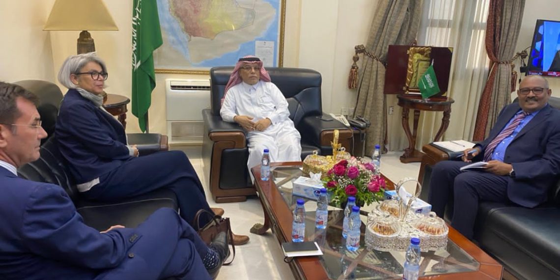 سفير خادم الحرمين الشريفين يستقبل مبعوثة الاتحاد الاوربي