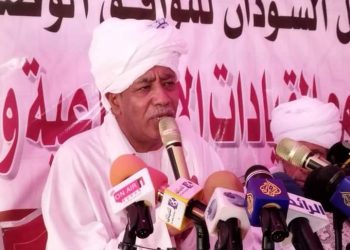 التوم هجو : سنعمل علي تنظيف الخرطوم من عملاء الاستخبارات والمستهتربن بالسيادة الوطنية