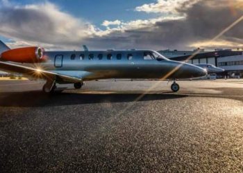 مضيفة تتفاجأ برأس ثعبان في وجبتها