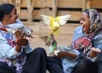 بالصور  سودانيون يتنفسون الصعداء بمحمية المارشال الطبيعية شرقي الخرطوم رغم الظروف الاقتصادية